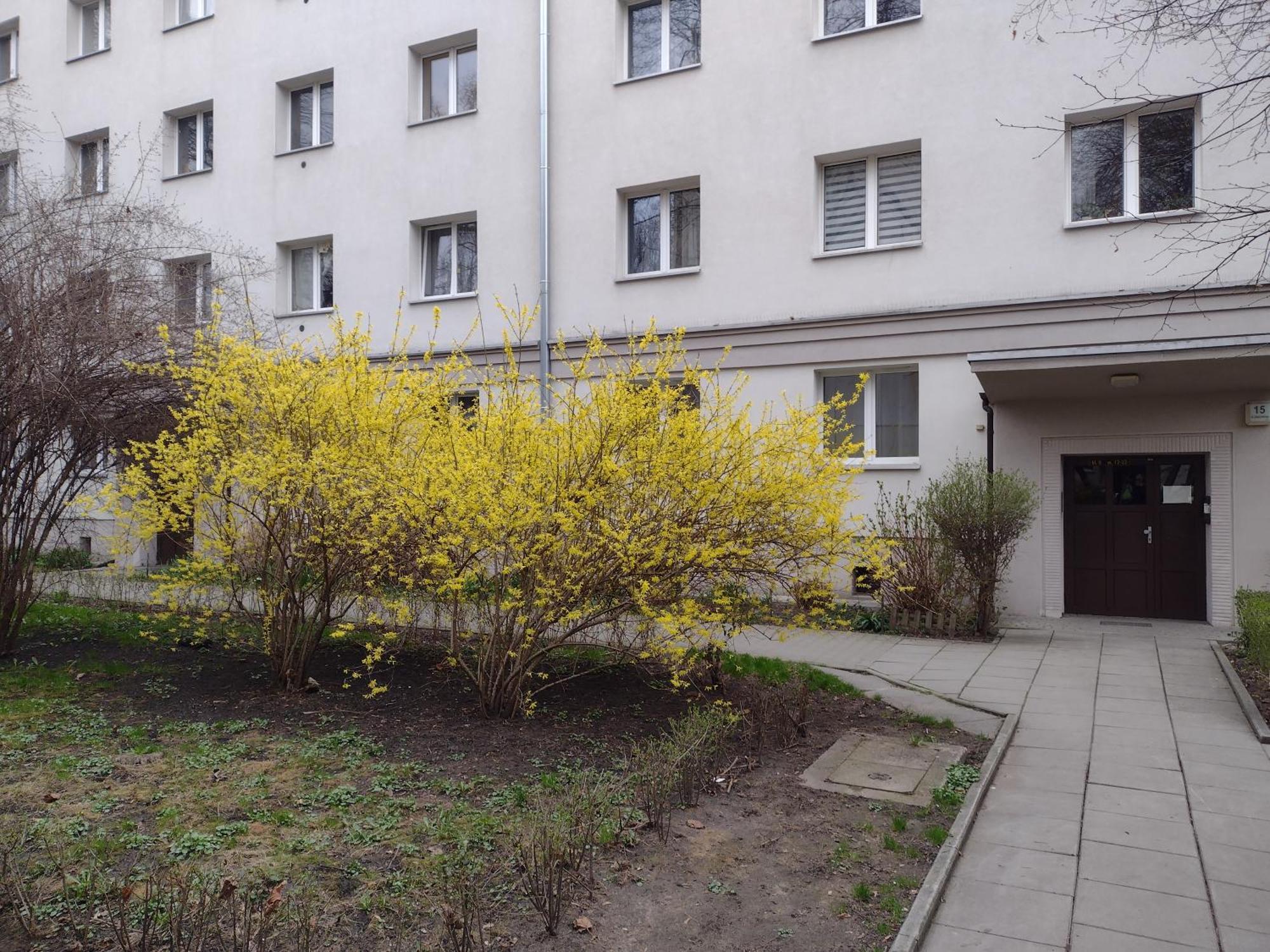 Cracowapart Ignacio A Krakau Buitenkant foto